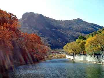 新澳天天开奖资料大全旅游团，都市邪医